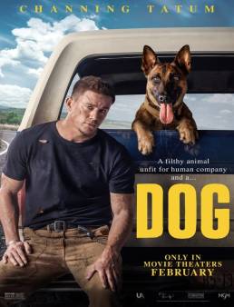 فيلم Dog 2022 مترجم HD كامل اون لاين