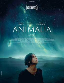 فيلم Animalia 2023 مترجم