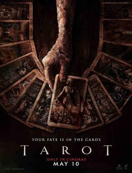 فيلم Tarot 2024 مترجم