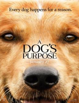 مشاهدة فيلم A Dog's Purpose مترجم