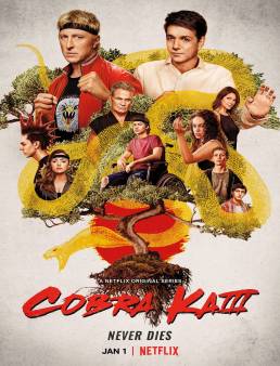 مسلسل Cobra Kai الموسم 3 الحلقة 6