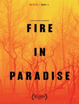 فيلم Fire in Paradise 2019 مترجم