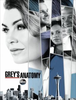 مسلسل Grey's Anatomy الموسم 14 الحلقة 6