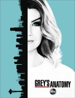 مسلسل Grey's Anatomy الموسم 13 الحلقة 10