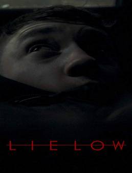 فيلم Lie Low 2019 مترجم