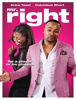 مشاهدة فيلم Mr. Right 2015 مترجم