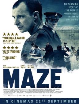 فيلم Maze مترجم