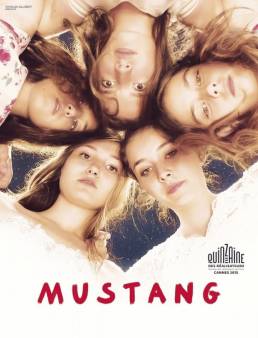 مشاهدة فيلم Mustang 2015 مترجم