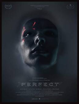 فيلم Perfect 2018 مترجم