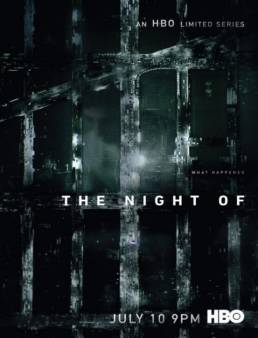 مسلسل The Night Of الموسم 1 الحلقة 2