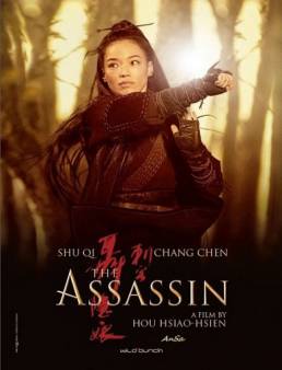 مشاهدة فيلم The Assassin 2015 مترجم