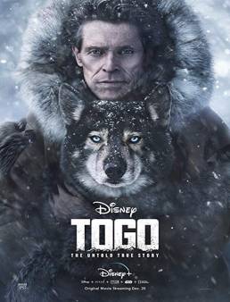 فيلم Togo 2019 مترجم