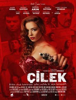 مشاهدة فيلم Çilek 2014 مترجم