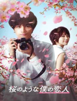 فيلم Love Like the Falling Petals 2022 مترجم اون لاين