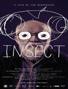 فيلم Insect 2018 مترجم