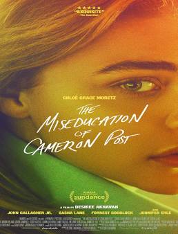 فيلم The Miseducation of Cameron Post مترجم