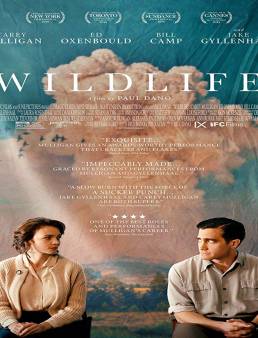 فيلم Wildlife 2018 مترجم