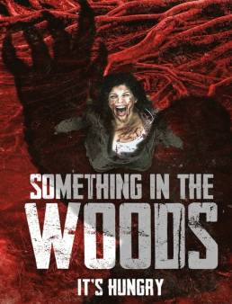 فيلم Something in the Woods 2021 مترجم