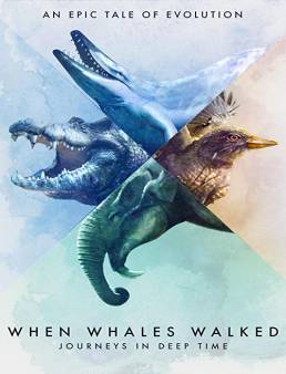 فيلم When Whales Walked: Journeys in Deep Time 2019 مترجم