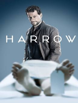 مسلسل Harrow الموسم 3